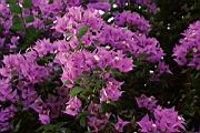 IMG_8512.JPG