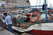 IMG_8755.JPG
