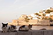 IMG_8760.JPG