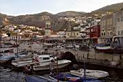 IMG_8764.JPG