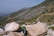 IMG_8810.JPG