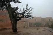 IMG_9557.JPG