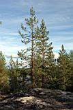 04_sudoremontnaya-11.JPG
