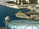 08MarineMuseum004.JPG