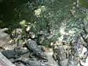 12CrocodileZoo008.JPG